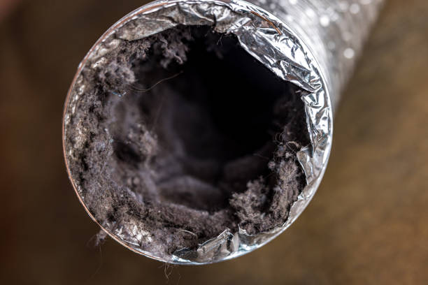 Best HVAC Duct Inspection Services  in Evart, MI